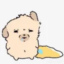 _fattocatto