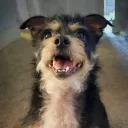 sassyavalon