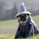 .worstwizard