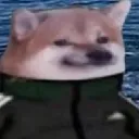 itspsyyt