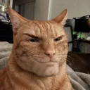biggayray