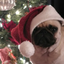 avatar 𝙄𝙉𝙎𝙊𝙈𝙉𝙄𝘼