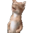 avatar 𝒔𝒐𝒎𝒏𝒚𝒂