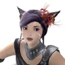chaos.cat
