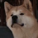 vexakita