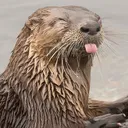 imactuallyanotter