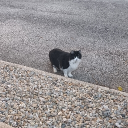 avatar Jean-Pierre Gilbert