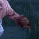 pfp