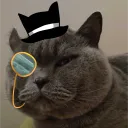 f3hliks
