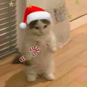 avatar SabrinexhuNter