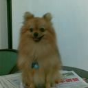 Mernix