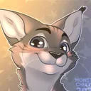 theraccooncat