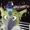 shybreeze