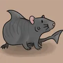sharkrat999