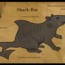 sharkrat999