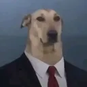 razorrl