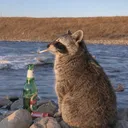 distant_whiskey