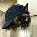 xali