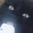 chupashups