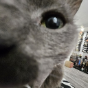 drakyo#5915's avatar