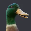 digitalduck
