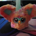 avatar ✧  🎀  𝐵𝑒𝓁𝓁𝒶𝐿𝓊  🎀  ✧