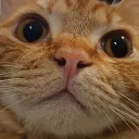 berhoh