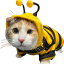 avatar ᲼᲼᲼᲼᲼᲼᲼᲼