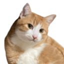 avatar ᲼᲼᲼᲼᲼᲼᲼᲼