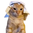 avatar ᲼᲼᲼᲼᲼᲼᲼᲼