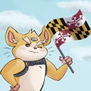 kingo_ow