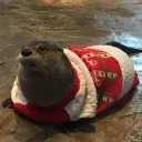 theokleman