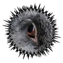 silverfox0610
