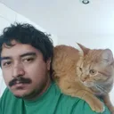 guisadodpapa