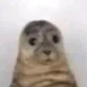 _ixu