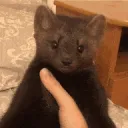 nameismink