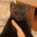 nameismink