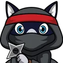 infantraccoon98