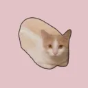 loafcat
