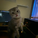 bo3abd._#6734's avatar