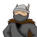 vikingninja