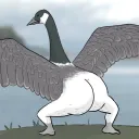 perkuns
