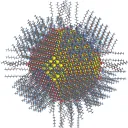 loungingisopod