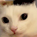 pochuwu