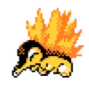 ryanraccoonish