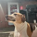 stlnhappyhr