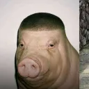 leonharttx
