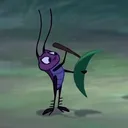 coachtornado