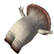 yeatle