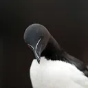 david0025